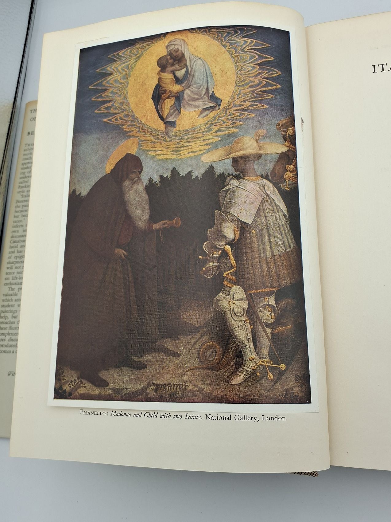 Bog: The italian painters of the Renaissance